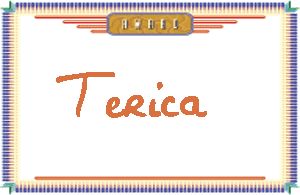 TericaдӢ