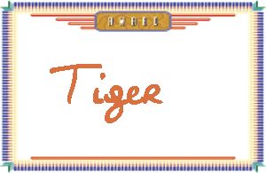 TigerдӢ